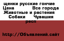 щенки русские гончие › Цена ­ 4 000 - Все города Животные и растения » Собаки   . Чувашия респ.